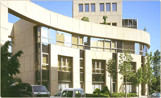 Levant Contact Pic